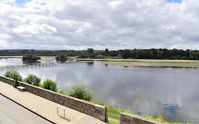 Les sternes de st Mathurin sur Loire , vue Loire